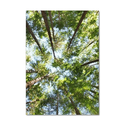 Tablou sticlă ramuri superioare ale unui copac