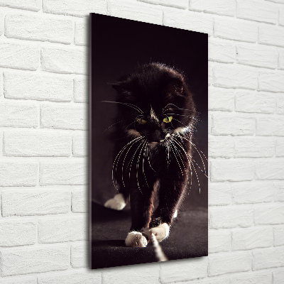 Fotografie imprimată pe sticlă Pisica neagra