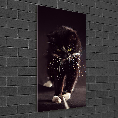 Fotografie imprimată pe sticlă Pisica neagra