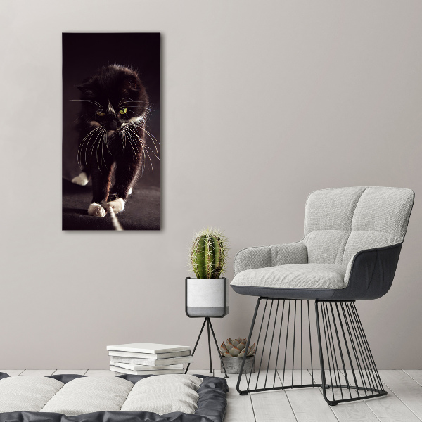 Fotografie imprimată pe sticlă Pisica neagra