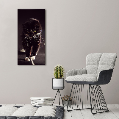 Fotografie imprimată pe sticlă Pisica neagra
