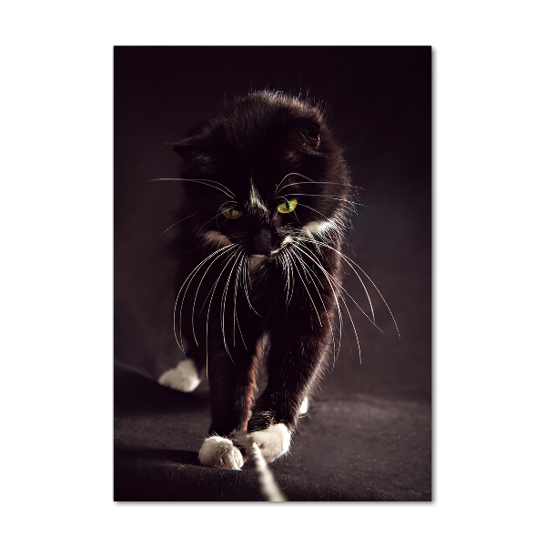 Fotografie imprimată pe sticlă Pisica neagra