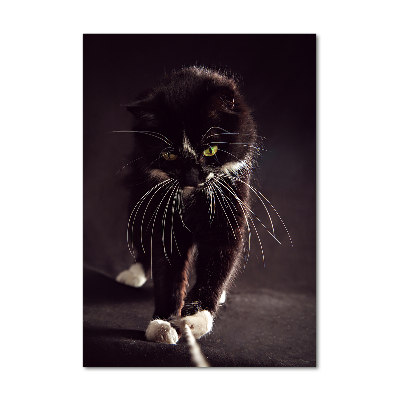 Fotografie imprimată pe sticlă Pisica neagra