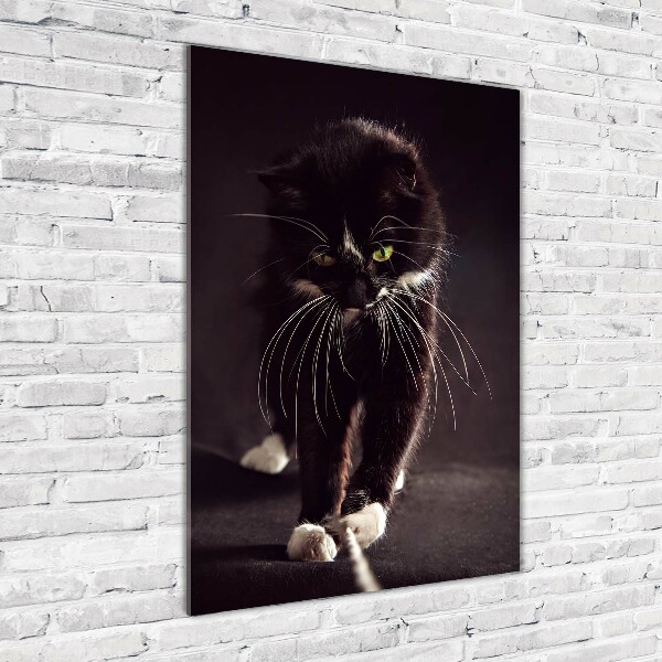Fotografie imprimată pe sticlă Pisica neagra