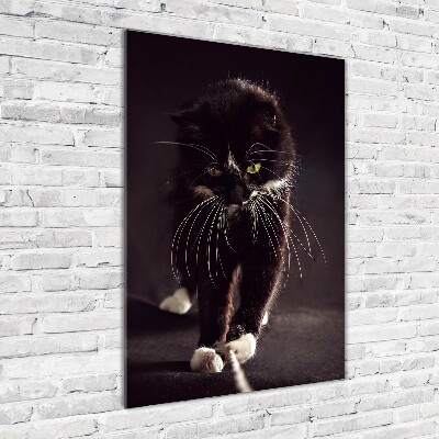 Fotografie imprimată pe sticlă Pisica neagra