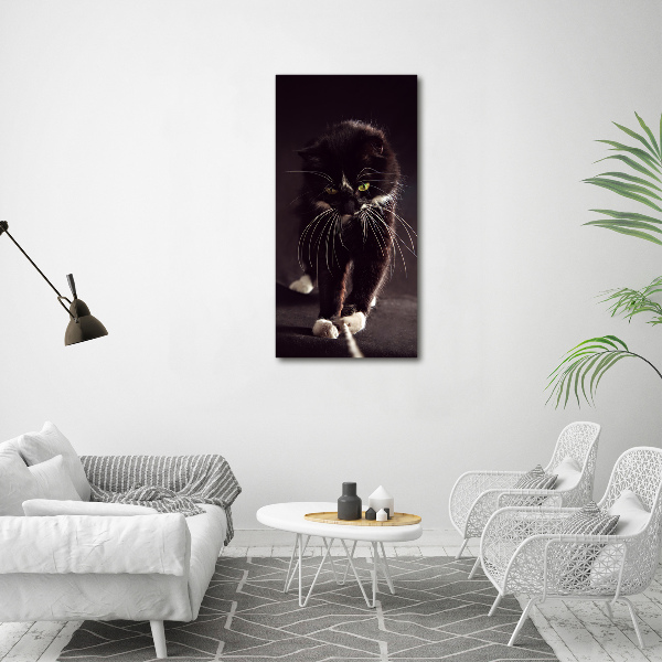 Fotografie imprimată pe sticlă Pisica neagra