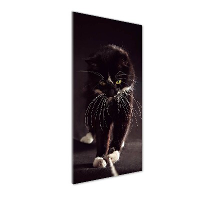 Fotografie imprimată pe sticlă Pisica neagra