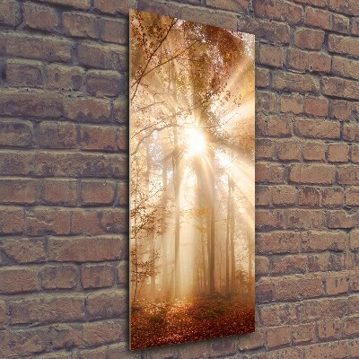 Fotografie imprimată pe sticlă pădure în toamna