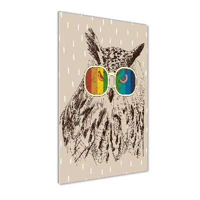 Tablou din Sticlă Owls ochelari