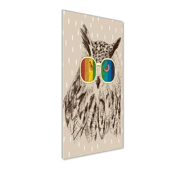 Tablou din Sticlă Owls ochelari