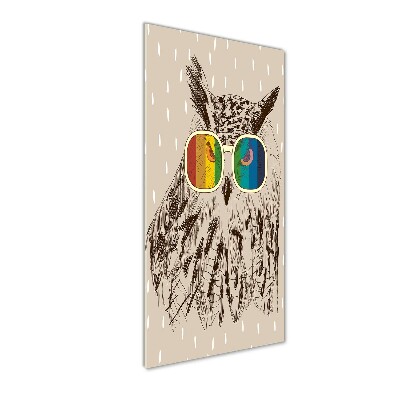 Tablou din Sticlă Owls ochelari