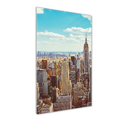 Tablou pe pe sticlă New York pasăre de zbor