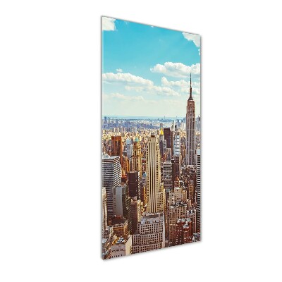 Tablou pe pe sticlă New York pasăre de zbor