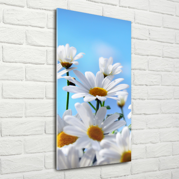 Fotografie imprimată pe sticlă margarete