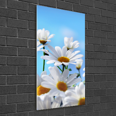 Fotografie imprimată pe sticlă margarete