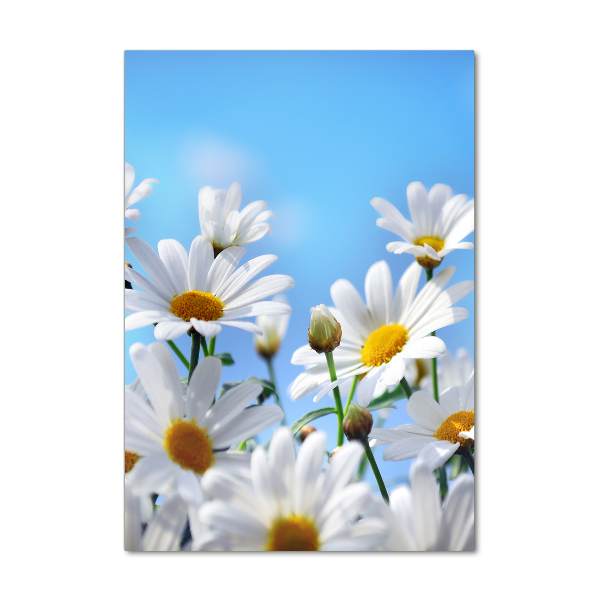 Fotografie imprimată pe sticlă margarete