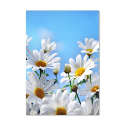 Fotografie imprimată pe sticlă margarete