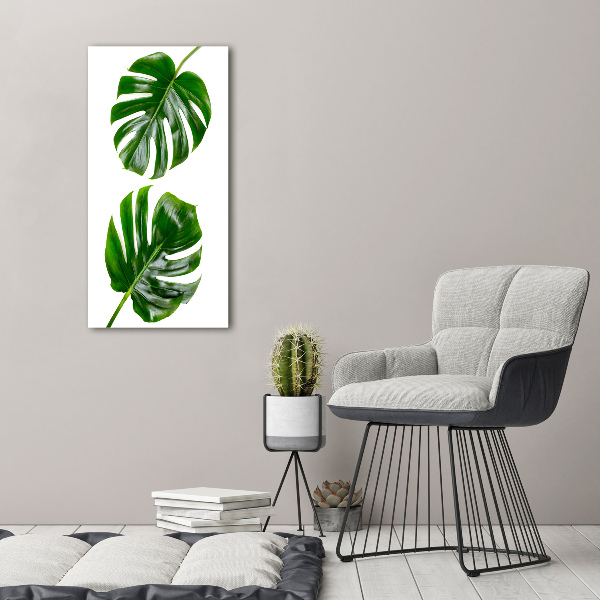 Fotografie imprimată pe sticlă Monstera