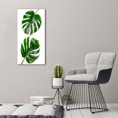 Fotografie imprimată pe sticlă Monstera