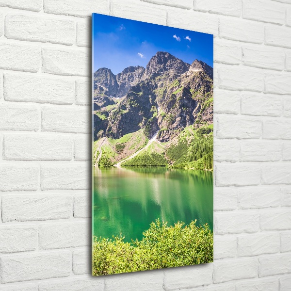 Imagine de sticlă Marine ochi Tatry