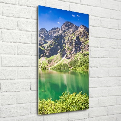 Imagine de sticlă Marine ochi Tatry