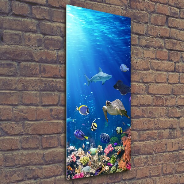 Tablou pe pe sticlă recif de corali