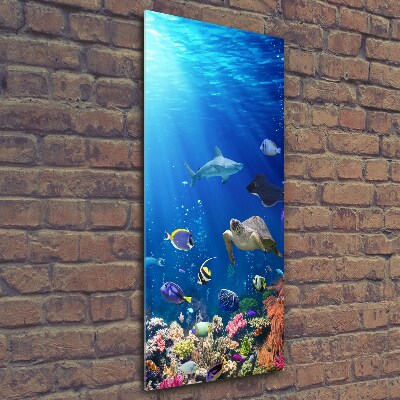 Tablou pe pe sticlă recif de corali