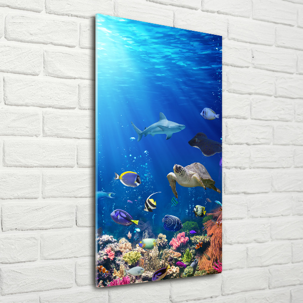 Tablou pe pe sticlă recif de corali