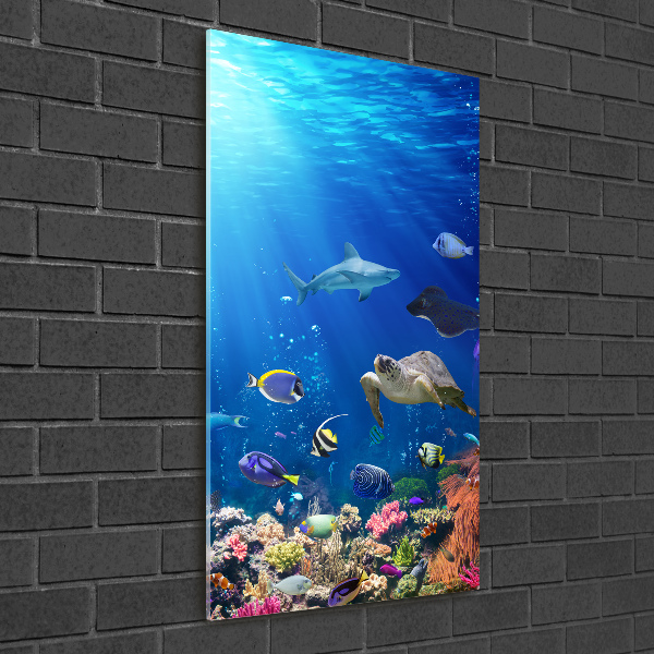 Tablou pe pe sticlă recif de corali