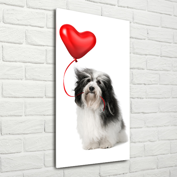 Fotografie imprimată pe sticlă balon havanese