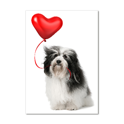 Fotografie imprimată pe sticlă balon havanese