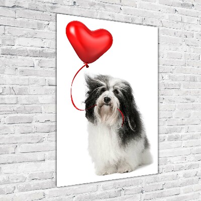 Fotografie imprimată pe sticlă balon havanese