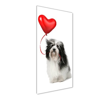 Fotografie imprimată pe sticlă balon havanese