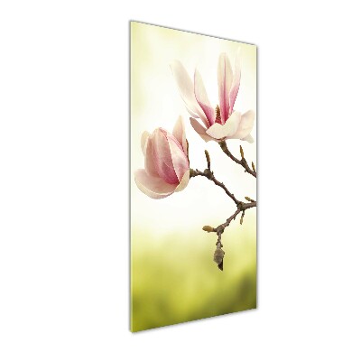 Fotografie imprimată pe sticlă flori magnolia