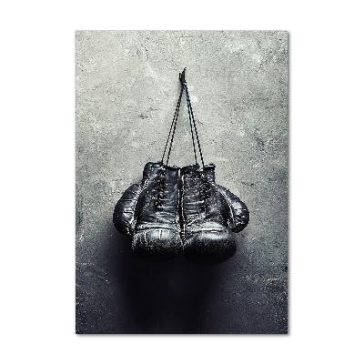 Fotografie imprimată pe sticlă Manusi de box