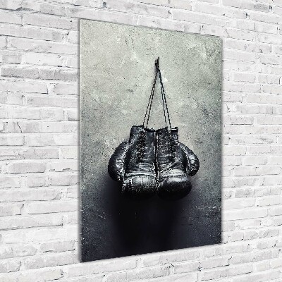 Fotografie imprimată pe sticlă Manusi de box
