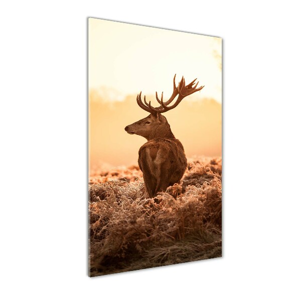 Tablou Printat Pe Sticlă Sunrise Deer