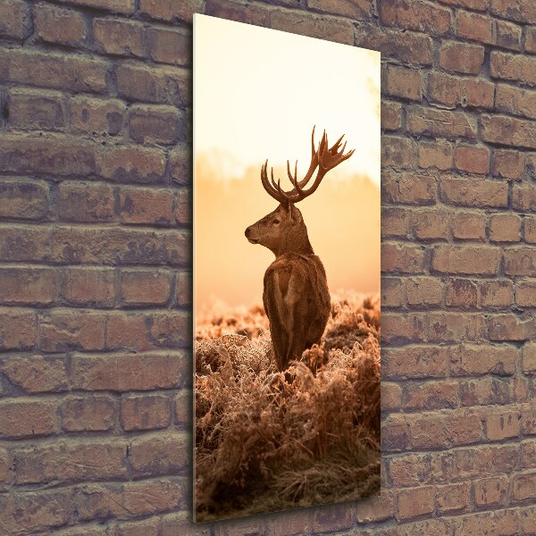 Tablou Printat Pe Sticlă Sunrise Deer