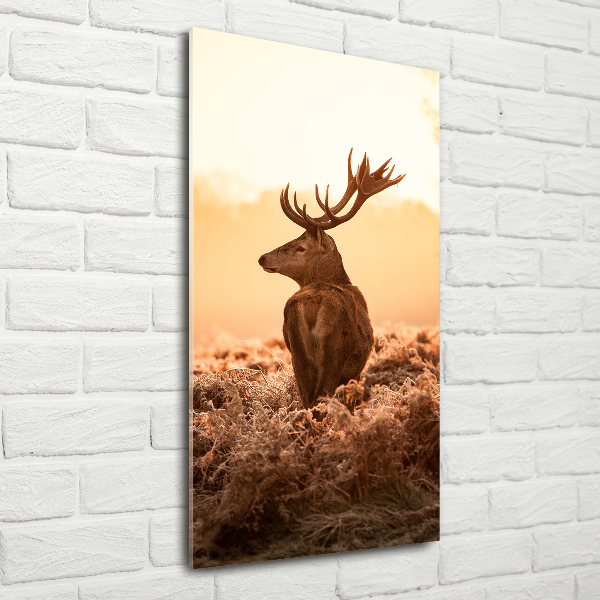 Tablou Printat Pe Sticlă Sunrise Deer