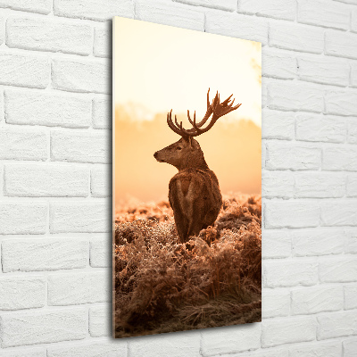 Tablou Printat Pe Sticlă Sunrise Deer