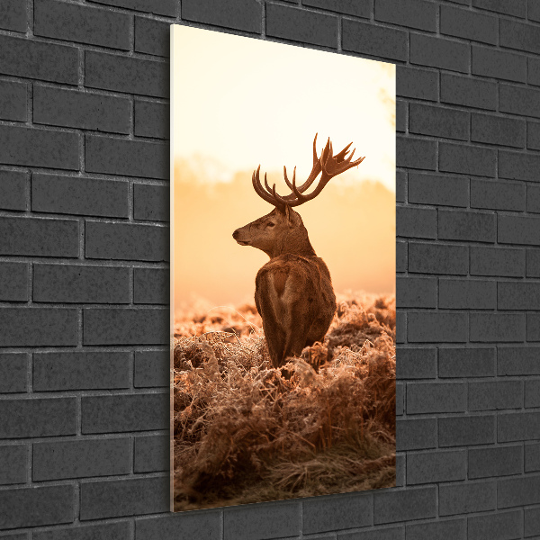 Tablou Printat Pe Sticlă Sunrise Deer