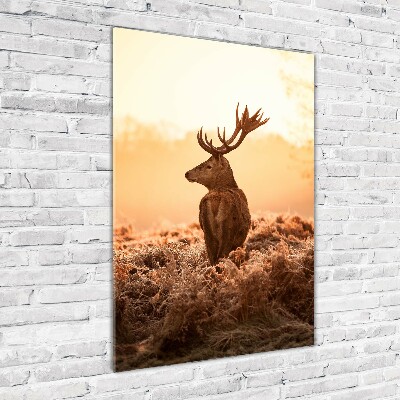 Tablou Printat Pe Sticlă Sunrise Deer