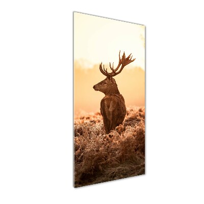 Tablou Printat Pe Sticlă Sunrise Deer