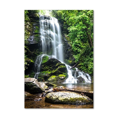 Fotografie imprimată pe sticlă Cascada din junglă