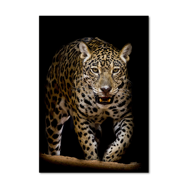 Fotografie imprimată pe sticlă Jaguar