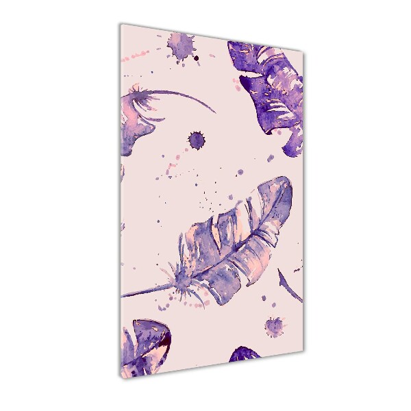 Tablou Printat Pe Sticlă pene