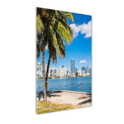 Imagine de sticlă Miami