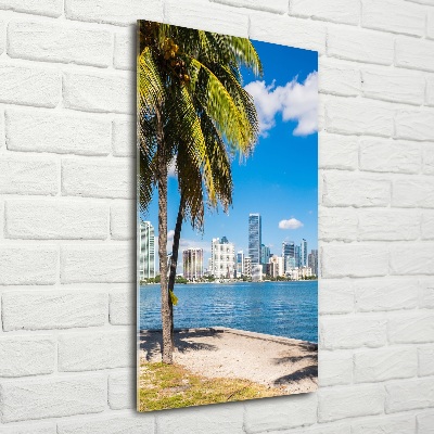 Imagine de sticlă Miami