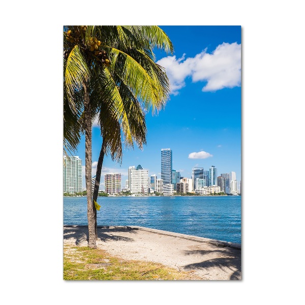 Imagine de sticlă Miami