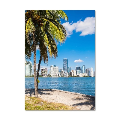 Imagine de sticlă Miami